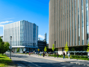 Campus Ave. Construction