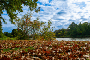 Finalize Your Fall 2025 and Winter 2026 Courses