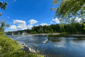 Women in STEM Career and Networking Fair
