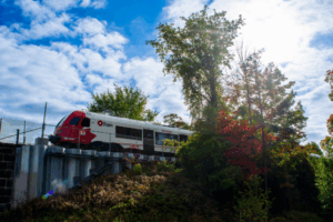 O-Train passing by trees on a fall day.