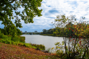 Influenza and COVID-19 Vaccination Clinics