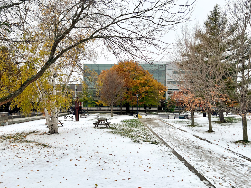 Featured event image for Social Meditation for Young Meditators