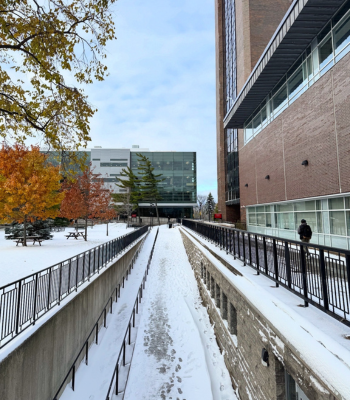 The walkway from the tunnels to the quad with a fresh dusting of show. The library is in the background.