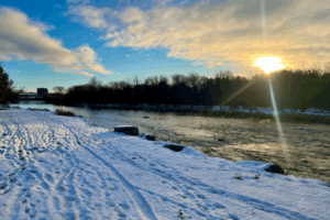 Student Rights and Responsibilities Policy