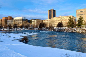 Mental Health and Wellness Resources