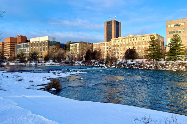 Mental Health and Wellness Resources