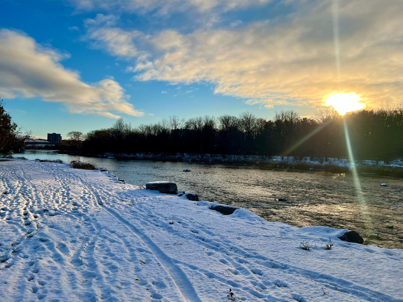 Featured event image for Social Meditation for Young Meditators