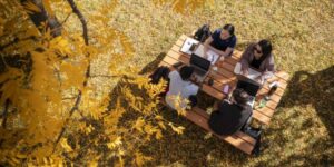 Welcome to the Summer Term