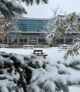 Snowy picnic bench in the quad.