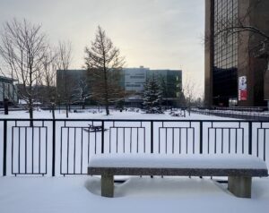 Call for Nominations – Student Senators