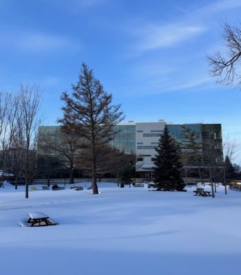 The quad covered in a blanket of fresh snow - in front of the MacOdrum Library.