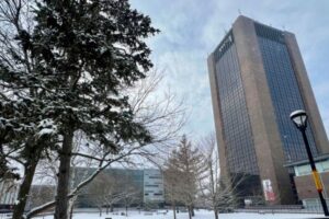 A snowy tree on the left of the quad and Dunton Tower on the right.