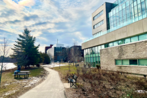 Student Experience Questionnaires Open