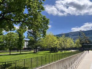 Volunteer with the GO-ISSO Next Year!