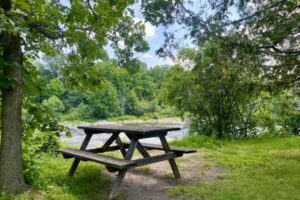 A bench by the Rideau River in the summer.