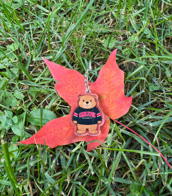 A groundhog keychain placed on a red leaf on the grass.