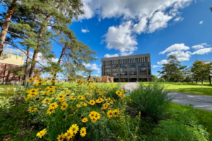 The Pigiarvik Building on a sunny day with yellow flowers in the foreground.