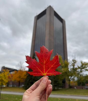 A hand holding a red maple tree leaf with the Dunton Tower in the background.