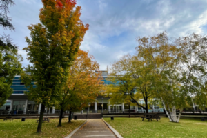 Senate and Senate Committee Undergraduate Openings